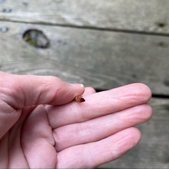 Zincite Crystal Wand - Picture 5 of 7